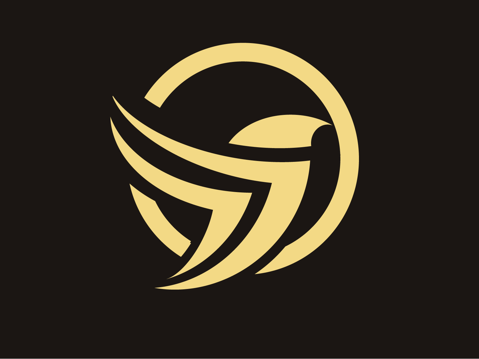 Example of Professional Logo Design