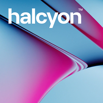Halcyon - Visual identity alavisuals art brand brand identity branding design graphic design icon logo logos mark visual identity visual system