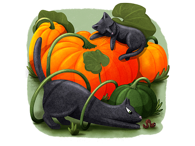 Pumpkin and cats! cat cats character child illustration cuteillustration design halloween illustration magazine illustration procreate pumpkin