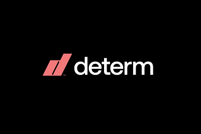 Determ — Branding animation app brand identity branding creative flat graphic design logo logo design minimal motion motion graphics typographylogotype