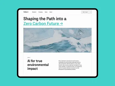 TERRAI•D — AI for true environmental impact about ai animation branding climate change cta design header homepage illustration logo modern typography ui video website