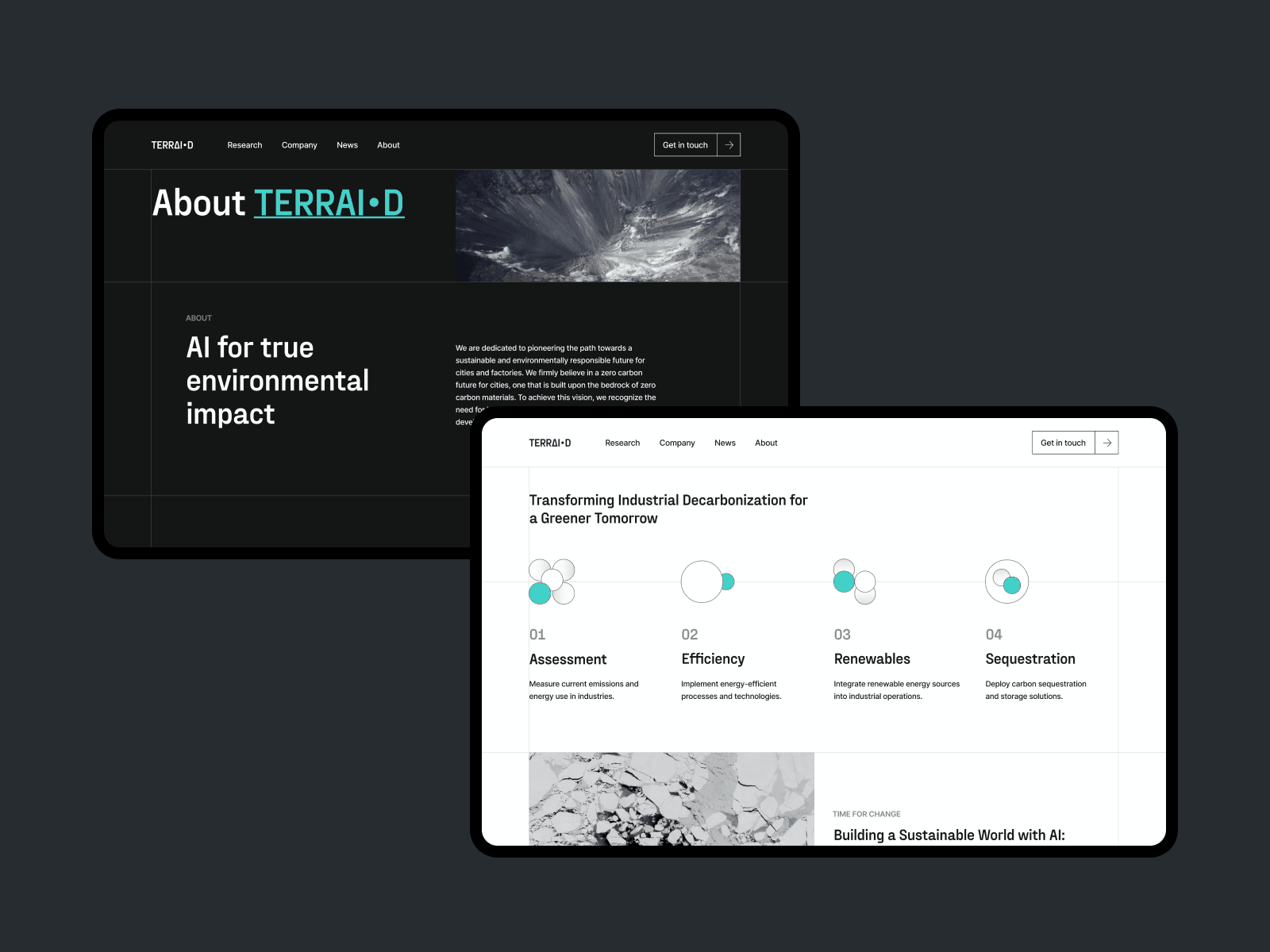 Innovative Environmental Website Design: TERRAI•D