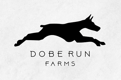 Dobe Run Farms branding branding graphic design
