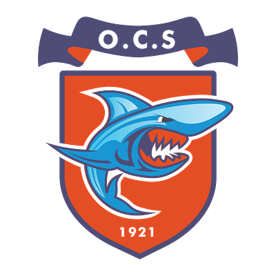 Shark logo redesign 3d animation branding football logo morocco motion graphics ocs shark team
