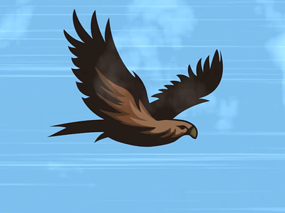 Football Team Logo Animation aftereffects animation bluesky football hawk logo motion graphics
