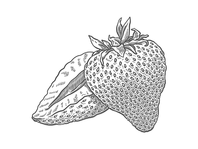 NotCO - Label Design artwork branding design fruit fruits graphic design icecream illustration illustrator label packaging strawberry stroke vanilla vector