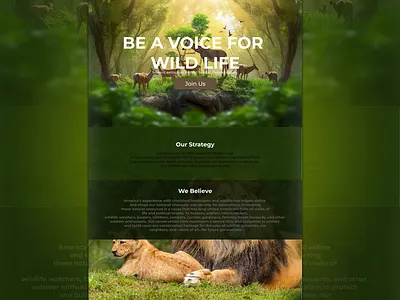 Wild Life website design figma geographic graphic design illustration uiux website. wild life