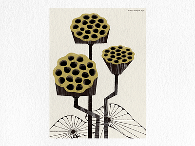 Dried Lotus Pods graphic design illustration