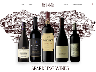 Rare & Fine Cape Wines brand strategy branding design ecommerce graphic design logo mockup web design