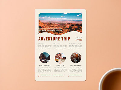 Canyon Adventure Poster - Design Exploration ad adventure agency camping canyon flyer graphic design minimalism modern photography poster tour travel travelling vintage