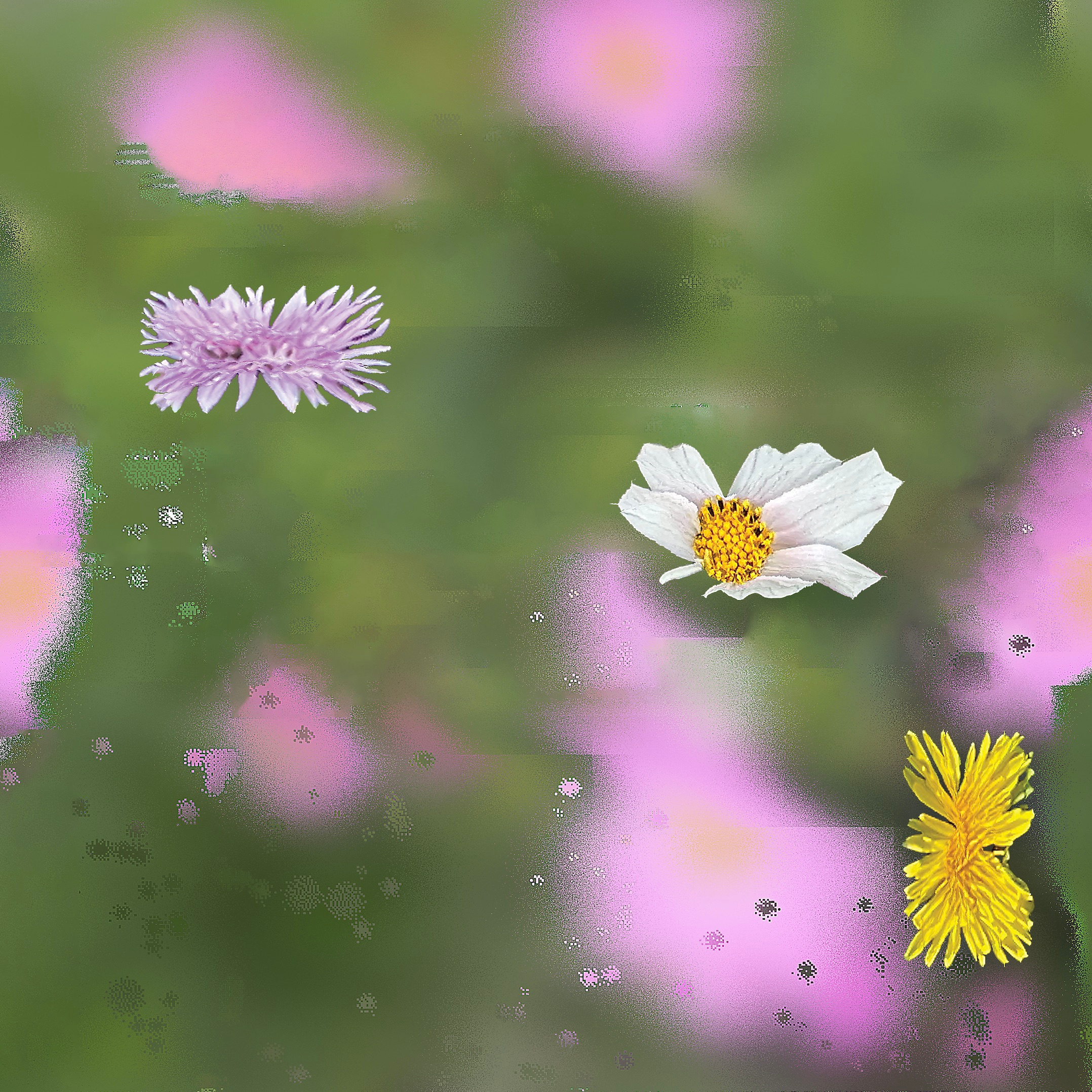 flower field abstract bright collage cute data design distort field floral flower fun grass happy landscape light mixed media photo pixel sun vibrant