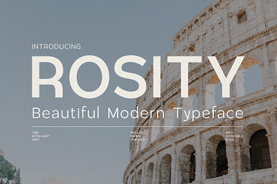 Rosity - Beautiful Modern Typeface branding business clean corporate elegant font geometrical graphic design logo modern poster professional rosity typeface ui web design