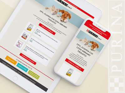 Purina email design graphic design pet responsive