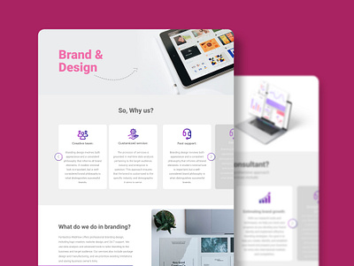 Branding Website UI Design branding design figma graphic design illustration ui