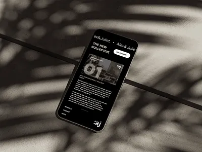 Alex&Juliet Newsletter ui ux