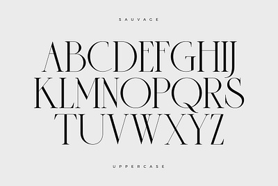 Sauvage - Elegant Font + Free Logos elegant