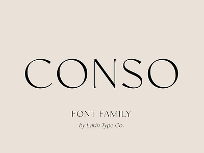 Conso Font Family modern font