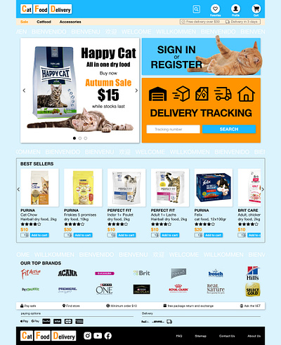 Cat Food Delivery Tracking branding graphic design ui ui design ux ux design web design