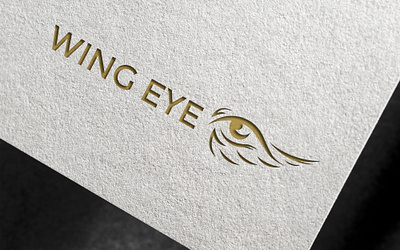 Wing Eye Logo Concept branding graphic design logo
