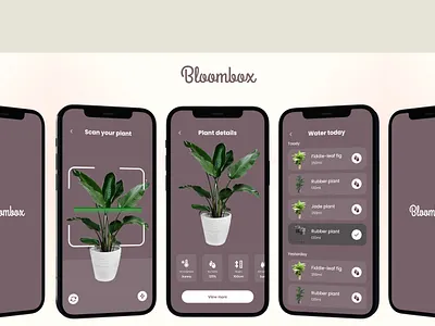 Plant App - Bloombox branding plant app design ui ux design web design