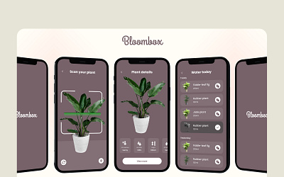 Plant App - Bloombox branding plant app design ui ux design web design