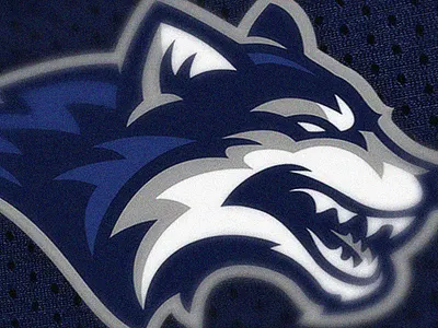 WOLF LOGO brand identity branding illustration logo sports branding sports logo wolf