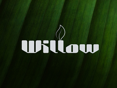 Willow branding graphic design logo ui
