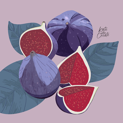 Figs figs illustration