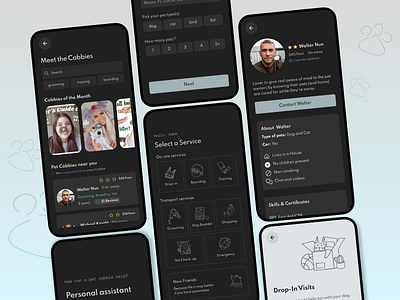 Pet Cabbie design system design thinking ui ux visual design