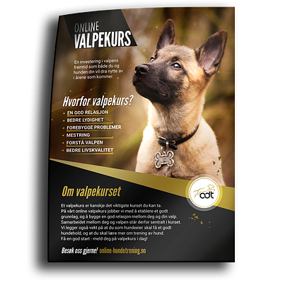 Dog Training Brochure app branding design graphic design illustration logo vector