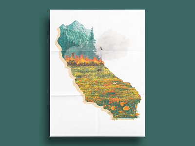 Wildfire Awareness california design graphic design illustration poppy vector wildfire