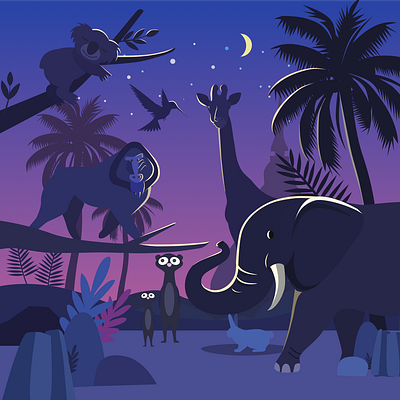 Night safari illustration