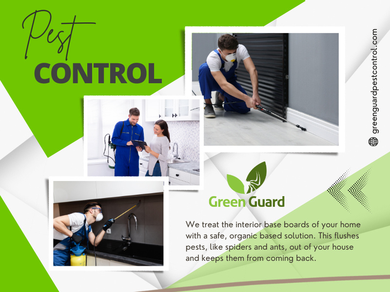 Boise Pest Control by Green Guard Pest Control on Dribbble