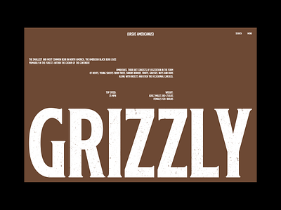 TypoMonday Week N° 38 - 03 design editorial font interaction interface layout minimalistic typo typography webdesign