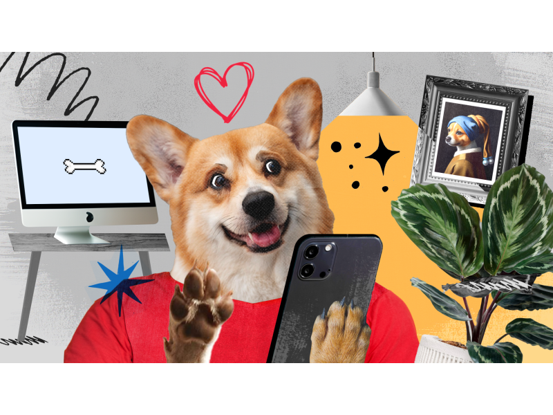Corgi collage animation 2d animation corgi deforge dog flower gif illustration lamp light motion paw phone picture