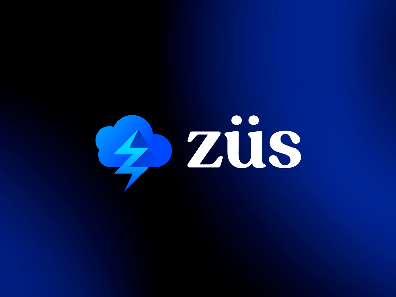 Züs Brand Identity Design by Lucas Fields on Dribbble