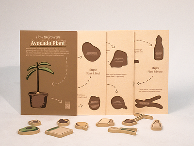 How to Grow an Avocado Plant avocado design graphic design illustration infographic landing page vector