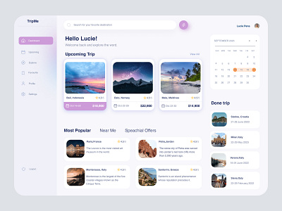 Travel Dashboard design ui ux