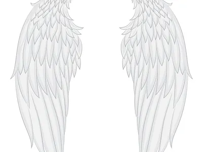 Angel Wings Vector Illustration angel beautiful branding graphic design illustration vector wings
