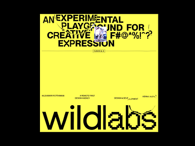 WildLabs Experimental #01 animation bold design layout motion typography