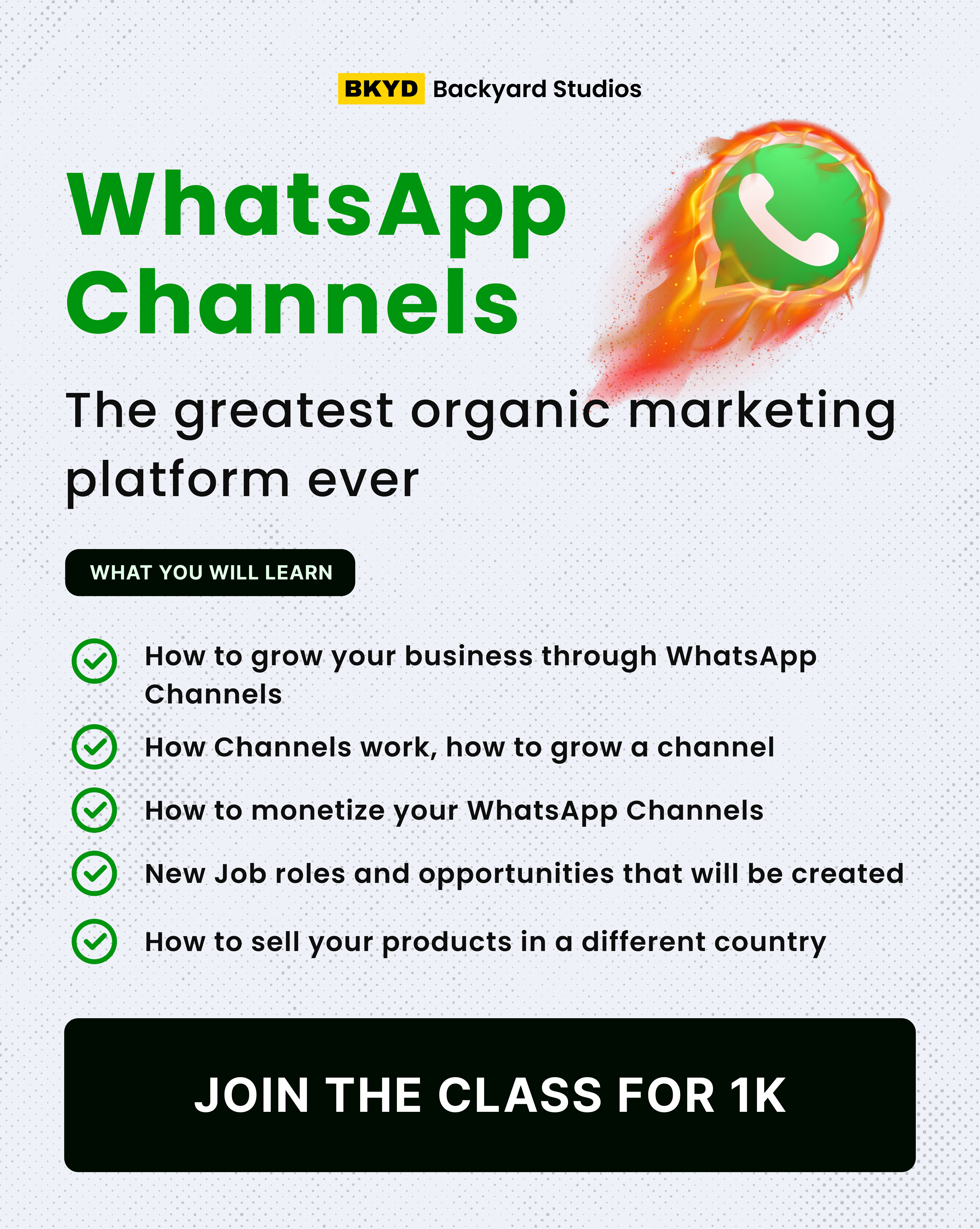 Lead magnet Flyer for my business branding graphic design