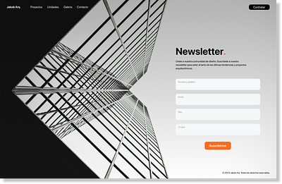 Newsletter form. graphic design ui