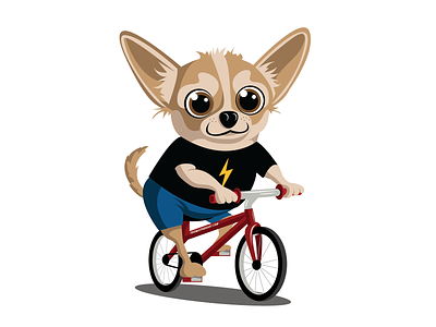 Chihuahua bicycle big eyes bike biking chihuahua cute cycling dog dog lover doggy flash pet puppy quirky ride riding