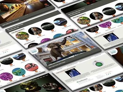 Musuem Landing Page Redesign css graphic design html ui web design