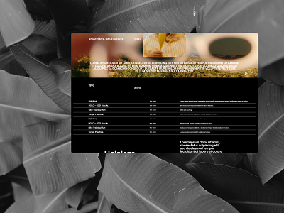 HOLO — 005 branding creative direction design graphic design web