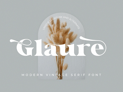 Glaure Vintage Serif Font design fashion font lowercase regular serif typeface typography uppercase vintage