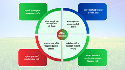 PPT Designs for Muktinath Krishi Company graphic design infographics informative ppt vector