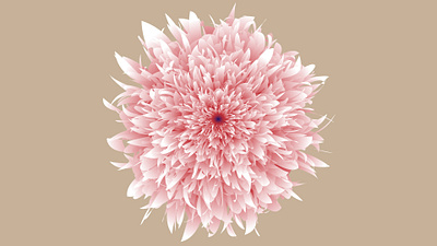 Flower 3d animation branding design graphic design illustration logo motion graphics ui vector