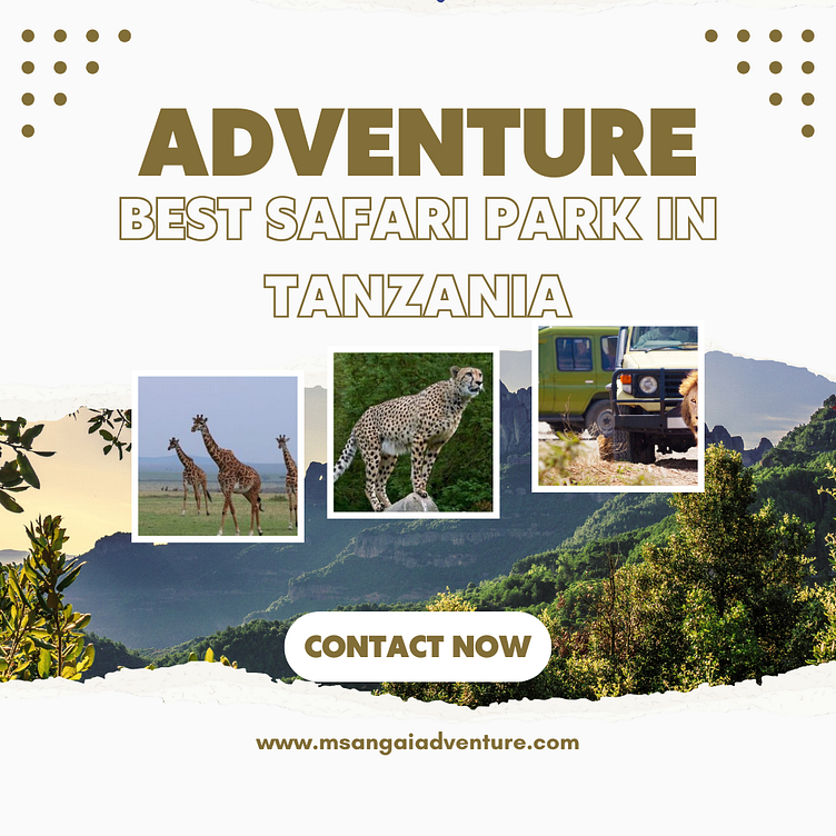 Best Safari Park in Tanzania Msangai Adventure Safaris by Msangai
