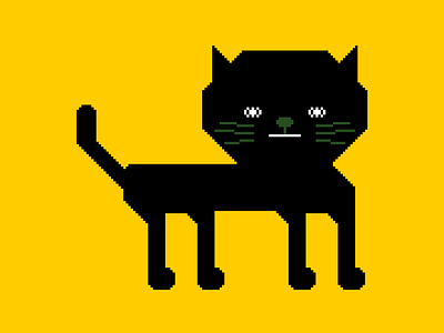 Black Cat design icon illustration logo minimal